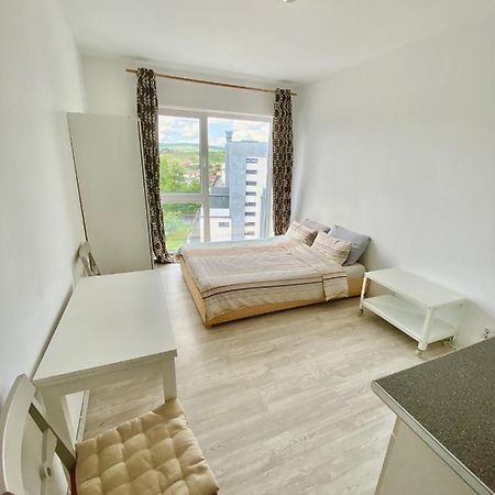 Cozy Studio Near The Center Of Cluj Dış mekan fotoğraf