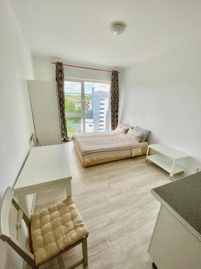 Cozy Studio Near The Center Of Cluj Dış mekan fotoğraf